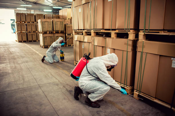 Best Exterminator Services  in Crosby, MN