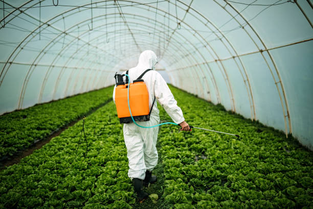 Best Affordable Pest Control Services  in Crosby, MN