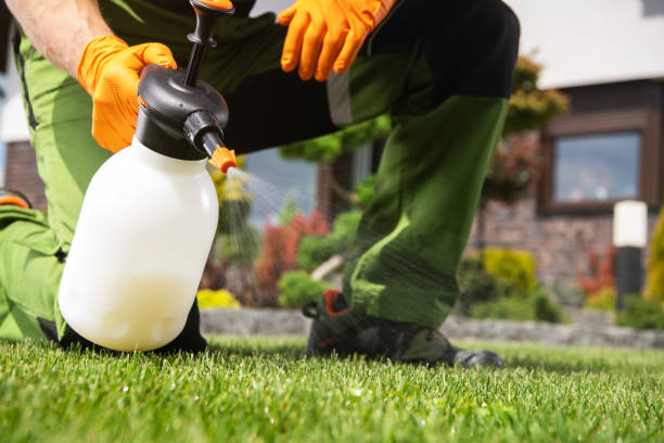Best Affordable Pest Control Services  in Crosby, MN