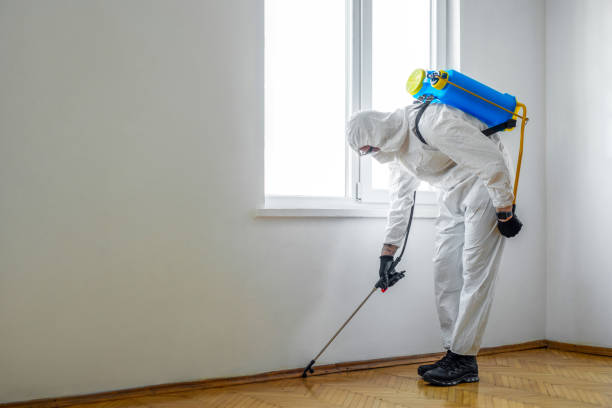 Best Affordable Pest Control Services  in Crosby, MN