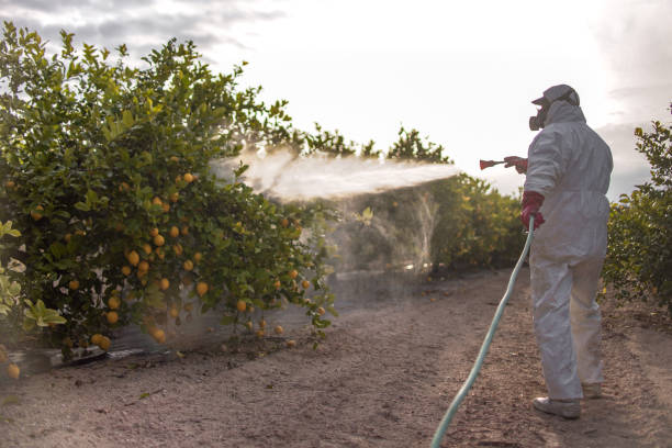 Best Local Pest Control Services  in Crosby, MN