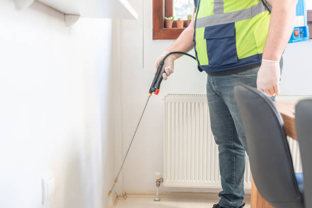 Wasp Removal Services in Crosby, MN