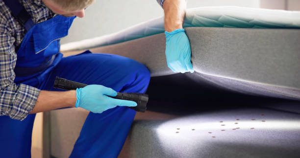 Best Residential Pest Control  in Crosby, MN
