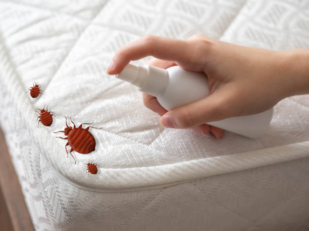 Best Best Pest Control Companies  in Crosby, MN