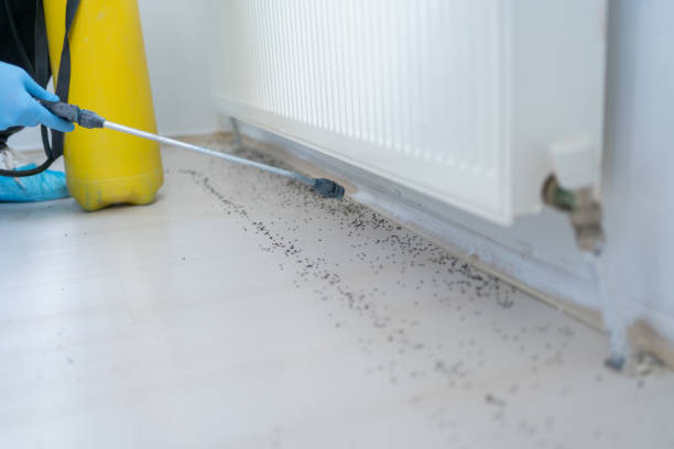 Pest Control Cost in Crosby, MN
